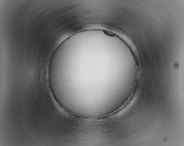X0000103240905200808281030