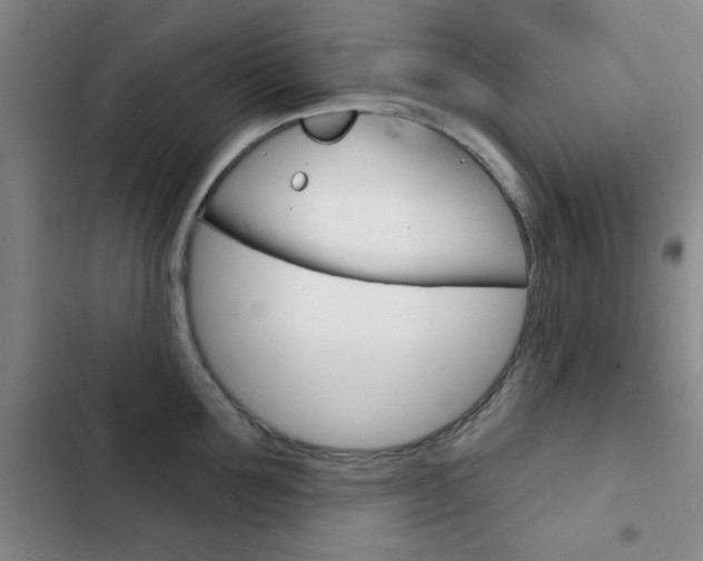 X0000103240907200808281030
