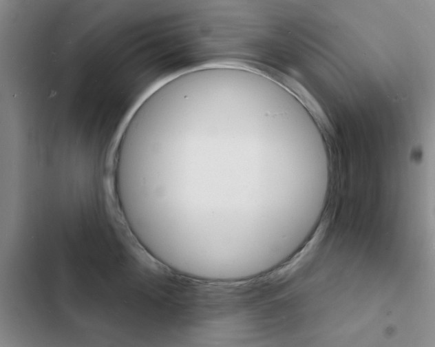 X0000103240908200808281030