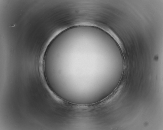 X0000103240909200808281030