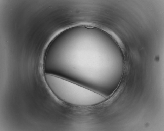X0000103240910200808281030