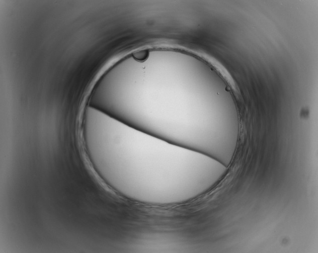 X0000103240911200808281030