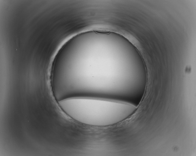 X0000103240912200808281030