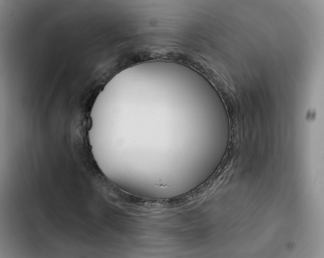 X0000103240914200808281029