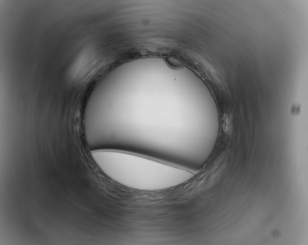 X0000103240915200808281029