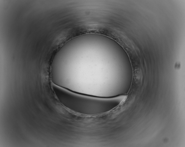 X0000103240916200808281029