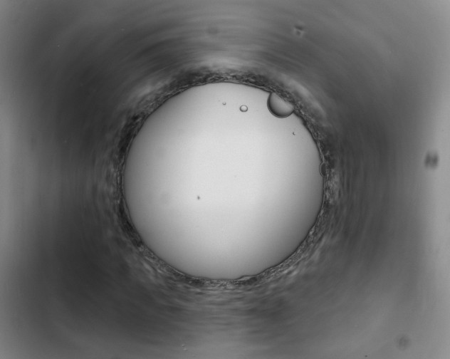 X0000103240917200808281029