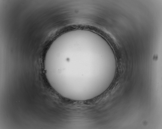 X0000103240918200808281029