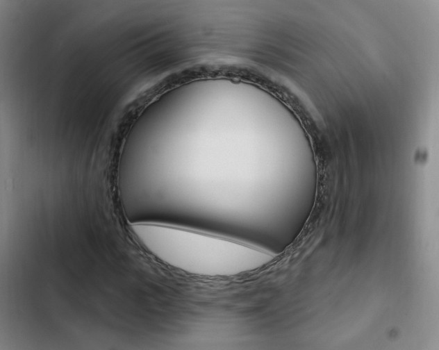 X0000103240919200808281030