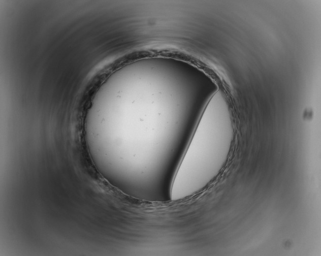 X0000103240920200808281030
