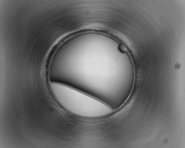 X0000103240923200808281030