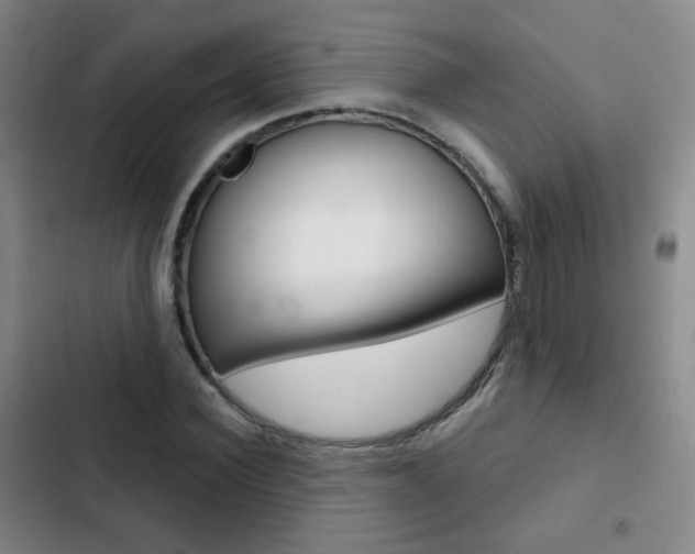 X0000103240924200808281030