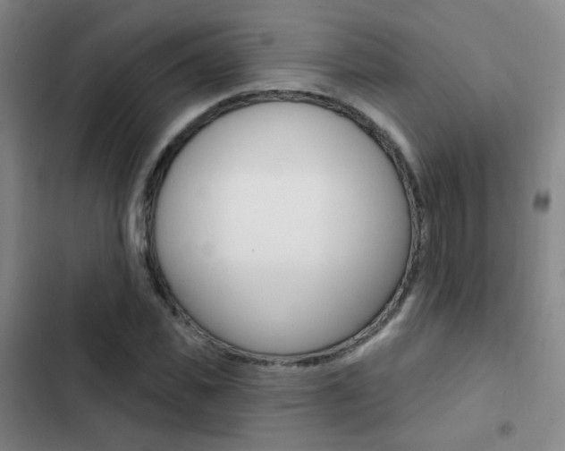 X0000103240925200808281030