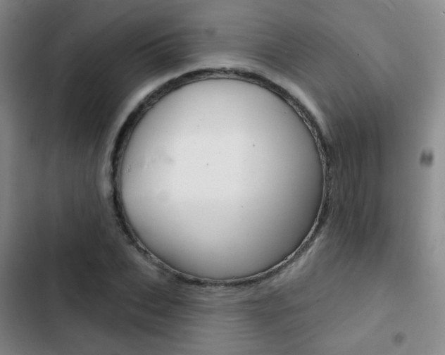 X0000103240927200808281030