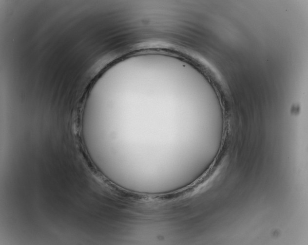 X0000103240929200808281030