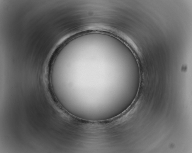 X0000103240931200808281030