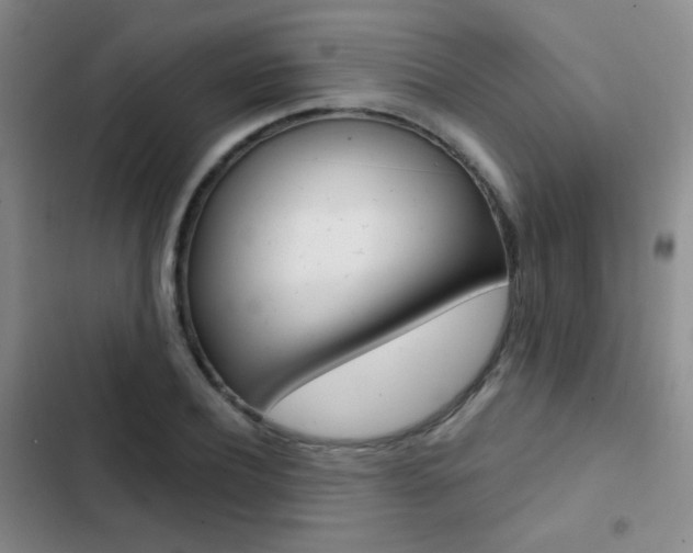 X0000103240932200808281030