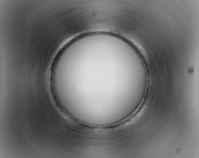 X0000103240933200808281030