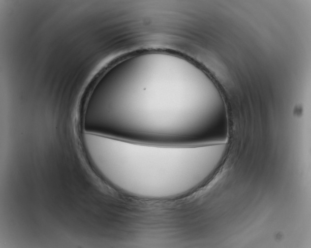 X0000103240934200808281030