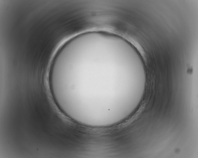 X0000103240936200808281030
