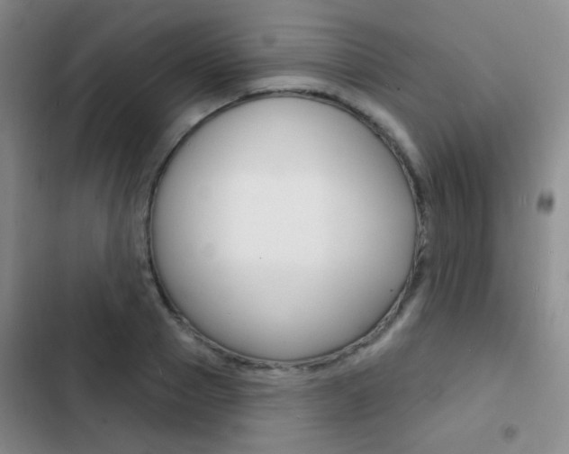 X0000103240937200808281030
