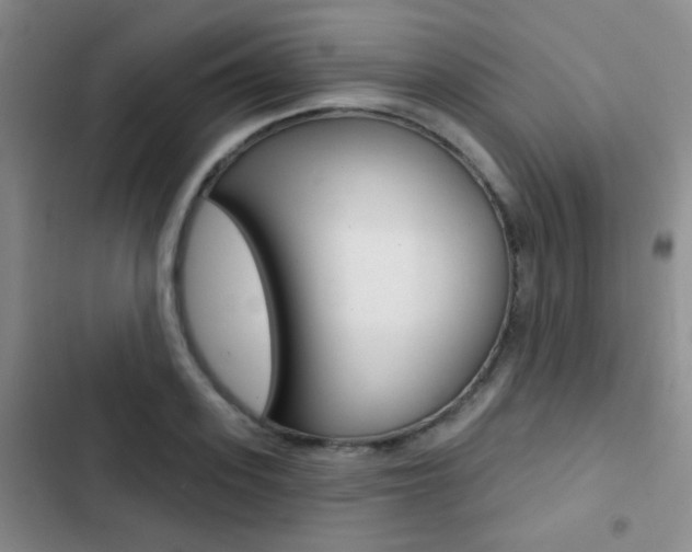X0000103240939200808281030