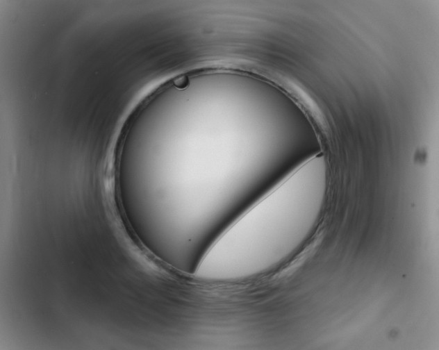X0000103240940200808281030