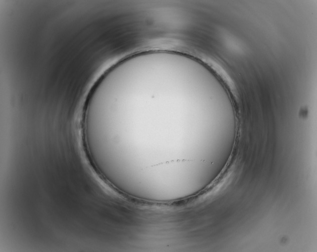 X0000103240941200808281030