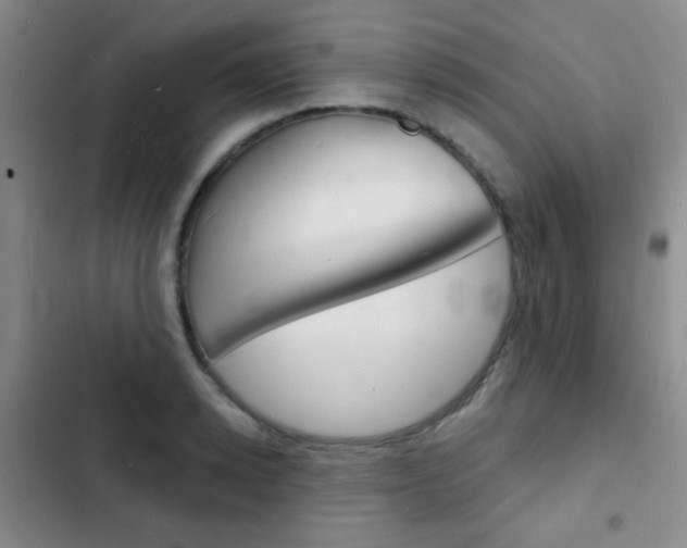 X0000103240942200808281030