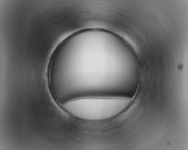 X0000103240943200808281030