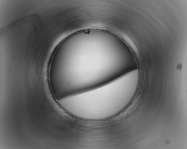 X0000103240944200808281030