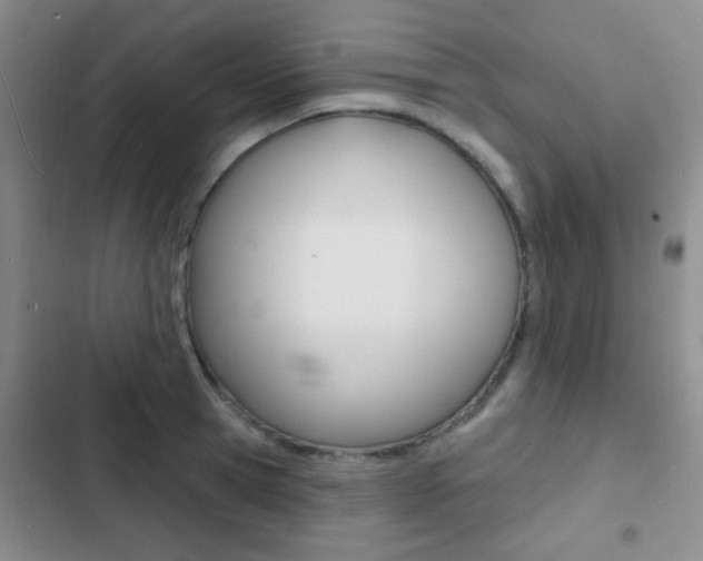X0000103240945200808281030