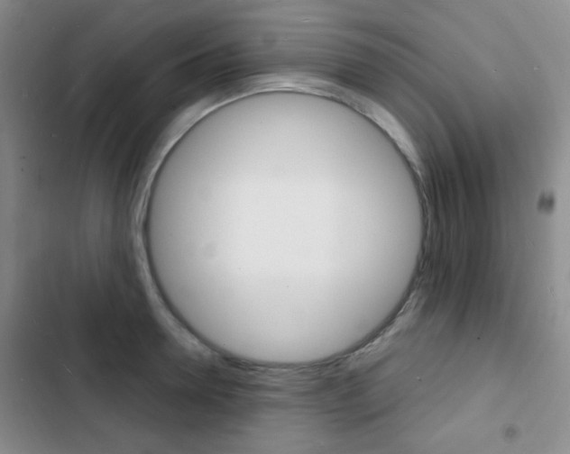 X0000103240946200808281030