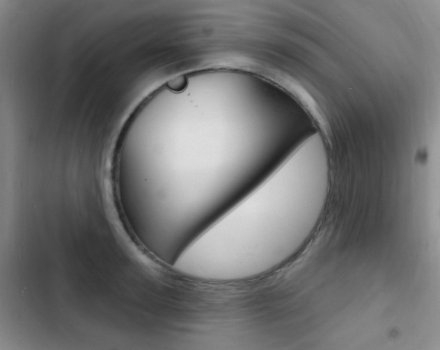 X0000103240947200808281030