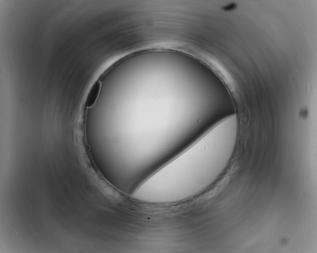 X0000103240948200808281030