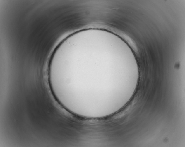 X0000103240950200808281030