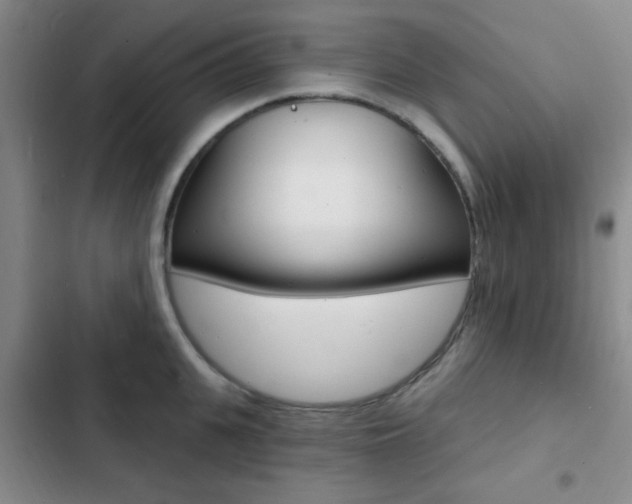 X0000103240951200808281030