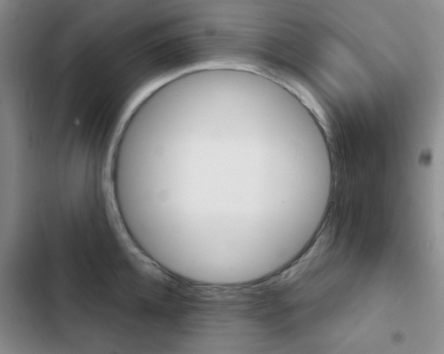 X0000103240952200808281030