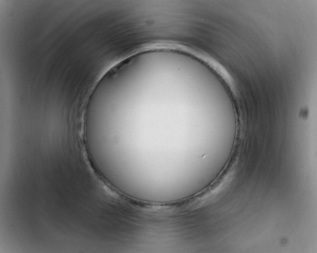 X0000103240953200808281030