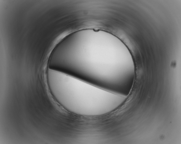 X0000103240954200808281030