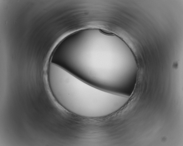X0000103240955200808281030