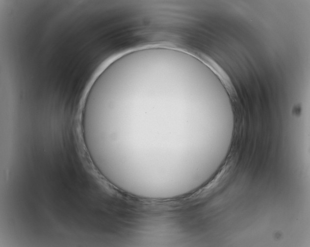 X0000103240956200808281030