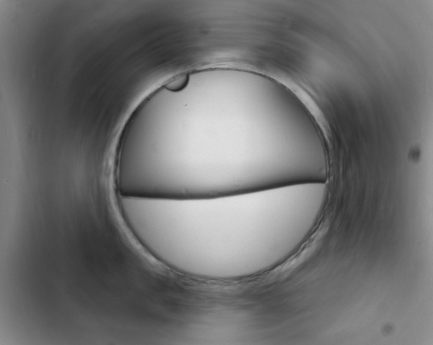 X0000103240957200808281030