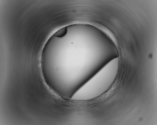 X0000103240958200808281030