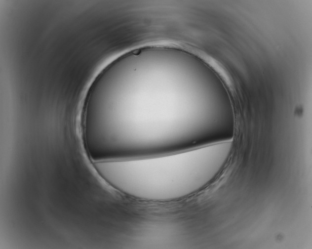 X0000103240959200808281030