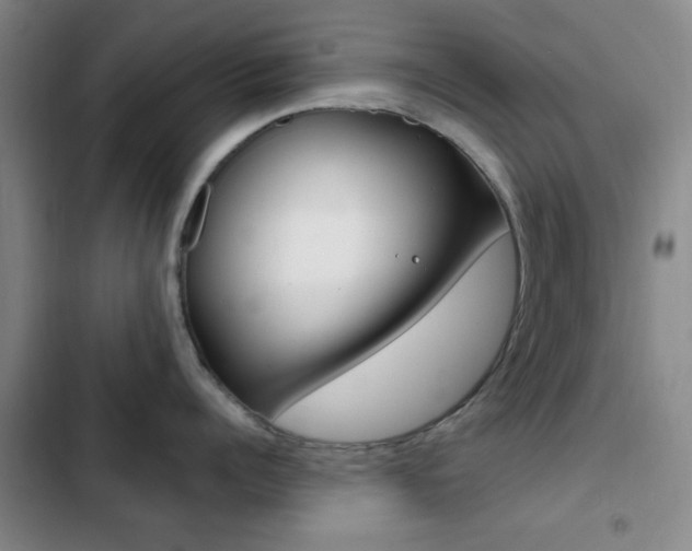 X0000103240960200808281030