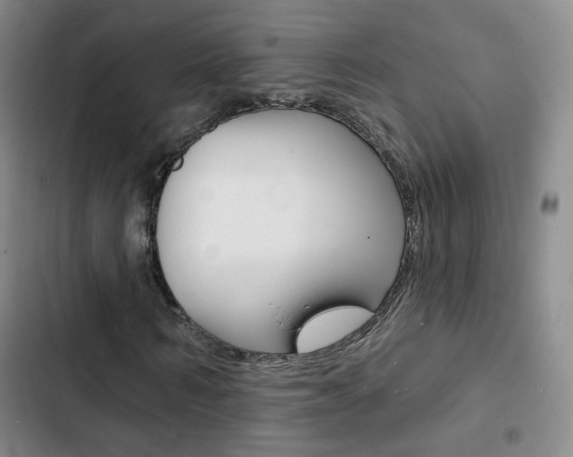 X0000103240962200808281029