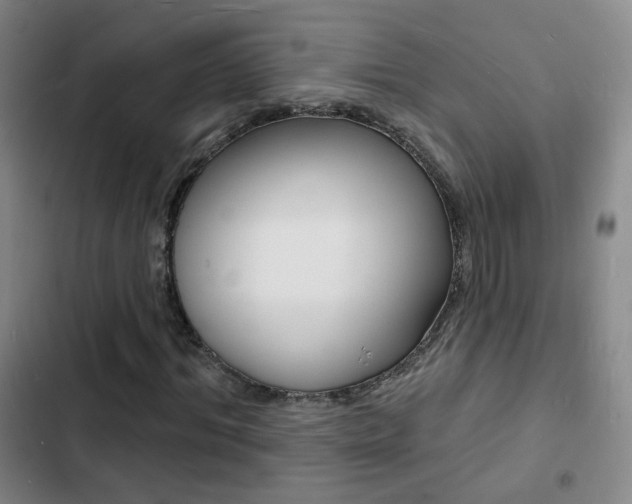 X0000103240964200808281029