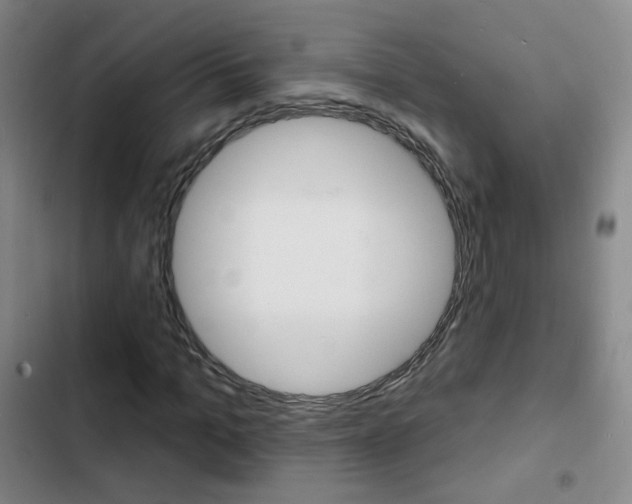 X0000103240965200808281029