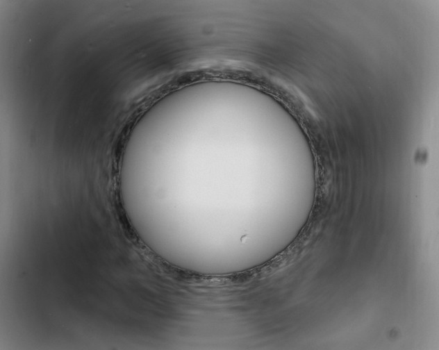 X0000103240966200808281029